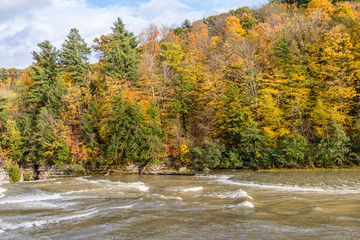 Obraz premium Autumn Colors Along the Fast Flowing Genesee River in New York's Letchworth State Park