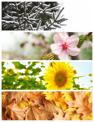 Naklejka premium Beautiful photos of nature. Four seasons collage