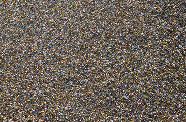 seashells and pebbles