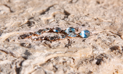 Gold earrings, decorated with blue Topaz, lie on the stone surface.