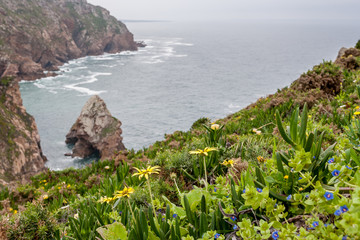 Rocky cliffs overgrown with flowers on the coast of Portugal