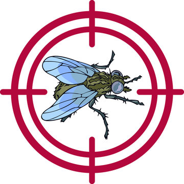 On vector illustration realistic fly and stop sign, denoting the destruction of insects.