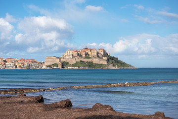 View of the historic fortress of the Corsican town Calvi from the beach, covered with sea grass,...