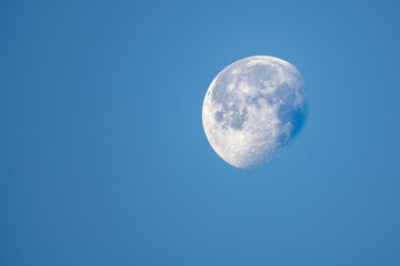 Moon in the morning
