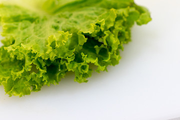Fresh Lettuce green leaf isolated on a white background. Lettuce leaves vegetable for vegetarian