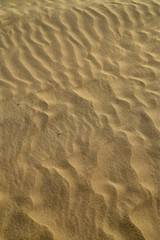 Fototapeta na wymiar natural ripple pattern in wind-blown desert sand texture full frame