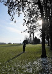 Fototapeta premium parc zurichois