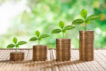 Plant and coin.