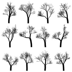 Tree trunks silhouettes set, hand drawn vector design elements