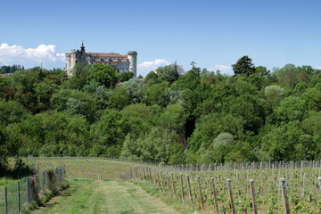 Fototapeta na wymiar Castello di Costigliole d'Asti e vigne in italia in europa