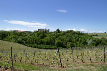 Fototapeta na wymiar Castello di Costigliole d'Asti e vigne in italia in europa