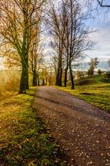 Walking in the morning sunlight.