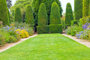 Grass path between cottage flowers in bloom, leading to cone shaped topiary trees, in English landscaped garden, on a sunny summer day.