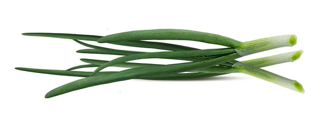 Green Onion isolated on white background