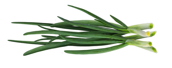 Green Onion isolated on white background