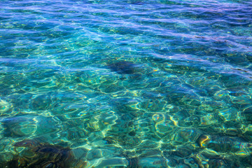 Naklejka na ściany i meble Turquoise blue tropical sea water texture. Seawater closeup photo. Still sea surface. Transparent water of tropical seaside