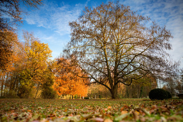 Herbstlich bunt