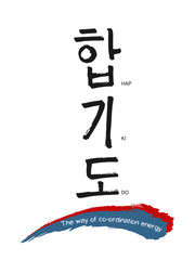 Hand drawn Hieroglyph translates Hapkido. Vector Korean martial art symbols on white background with red and blue calligraphic lines national flag colors  and text. Ink brush Korea calligraphy font