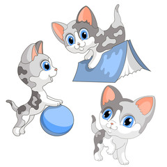 Obraz premium kittens play