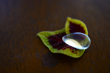 Beautiful tumbled clear quartz, on top of a leaf. Healing crystals and plants, aura crystals on black background. Mock up of crystal on leaf. Low exposure macro photography. Crisp opal, opalite