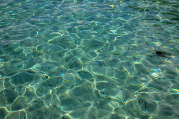 Fototapeta na wymiar Clear tropical sea water texture. Seawater closeup photo. Still sea lagoon surface. Transparent water of tropic seaside