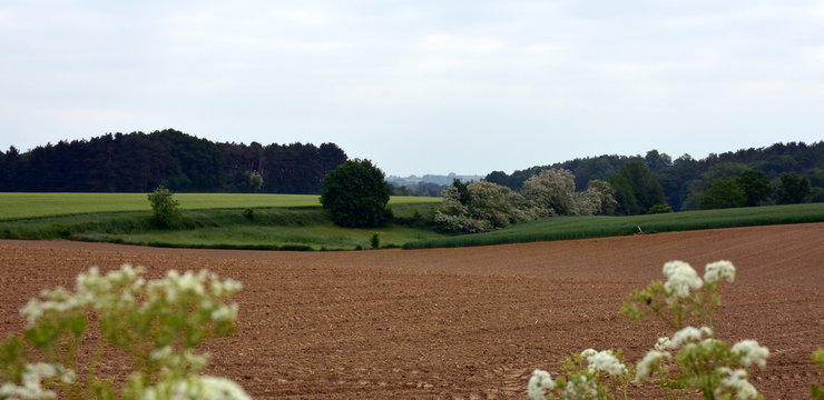 Landscape in Huldenberg, Overijse, Belgium