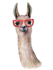 Watercolor card with llama and sunglasses. Hand painted beautiful illustration with animal and sunglasses isolated on white background. For design, print, fabric or background. © yuliya_derbisheva