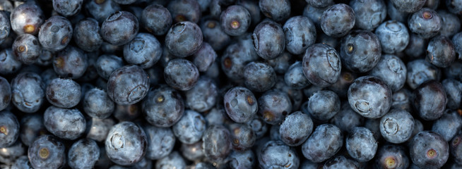  Texture blueberry berries close up. Top view.
