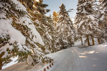 Golcuk / Bolu / Turkey, winter snow landscape. Travel concept photo.