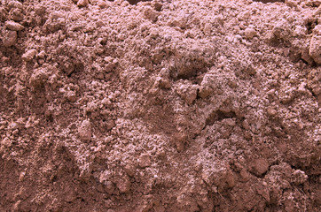 Image of an earthen cliff in the sunlight, on a dry hot day, close-up, instagram.