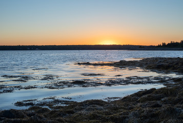 Fototapeta na wymiar Maine Coast at Sunset from Campsite