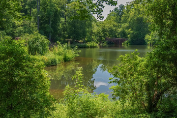 Bridge on the Bass Pond