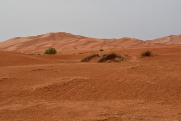 Fototapeta premium DESIERTO DEL SAHARA - MERZOUGA - MARRUECOS