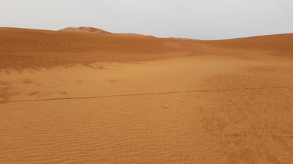 DESIERTO DEL SAHARA - MERZOUGA - MARRUECOS