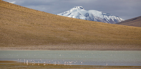 Bolivia, Altiplano, volcano with blue  lagoon   © Agata Kadar