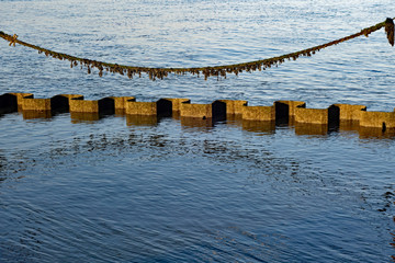 Fototapeta premium Blick aufs Wasser bei Cuxhaven