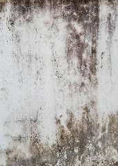 Close-up of a weathered, dirty and moldy plastered light gray concrete wall background.