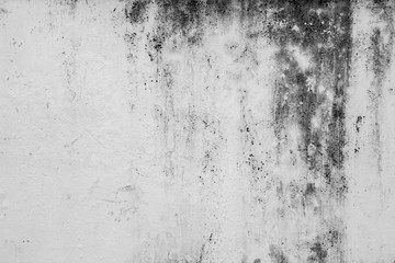 Close-up of a weathered, dirty and moldy plastered concrete wall background in black and white.