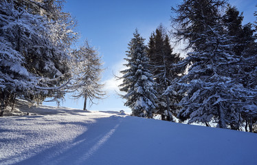 Brunnach Ski Ressort, St. Oswald, Carinthia, Austria - January 20, 2019: Captured sun rays shining throw the trees beside a slope in St. Oswald, Carinthia, Austria beyond.