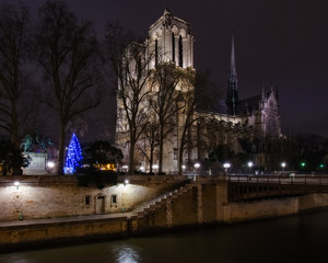 Fototapeta na wymiar Notre Dame Cathedral Across River