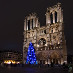 Fototapeta na wymiar Notre Dame Cathedral Christmas