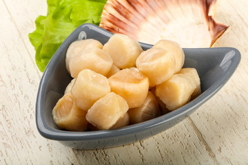 Raw scallops heap