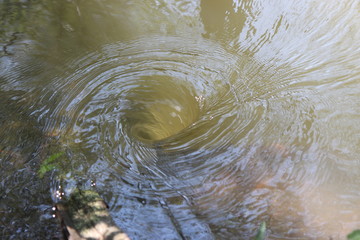 Water spiral in the river