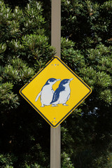 Penguins crossing road sign at Phillip island, near Melbourne, Victoria. Australia.