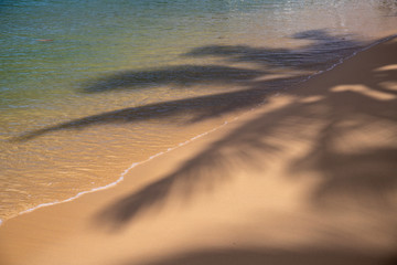 Sea water tide on yellow sand beach. Tropical seaside concept photo. Coco palm shadow on sand beach.