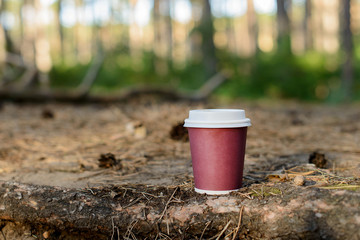  Coffee in a paper cup in nature