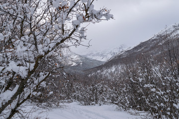 Into the White Abyss