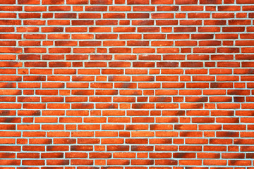 Brick wall as a background.
