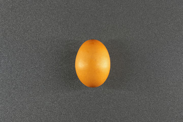 one egg yellow on gray background / minimalistic background photo of the egg in the center of attention