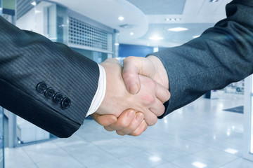 Two partners are shaking hands at the office.